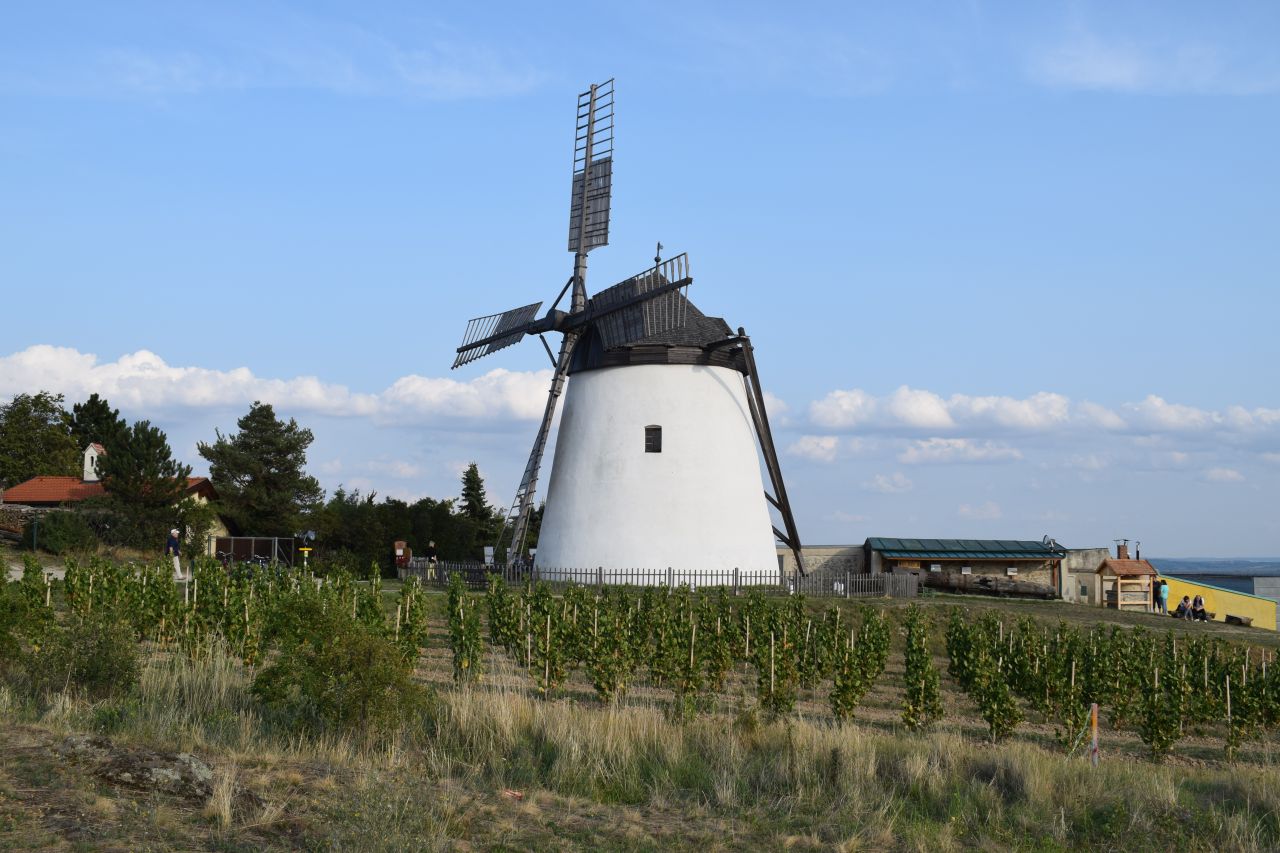 Windmühle Retz, Blick zur Windmühle (© Museumsmanagement Niederösterreich)